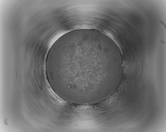 X0000100901187200807011213