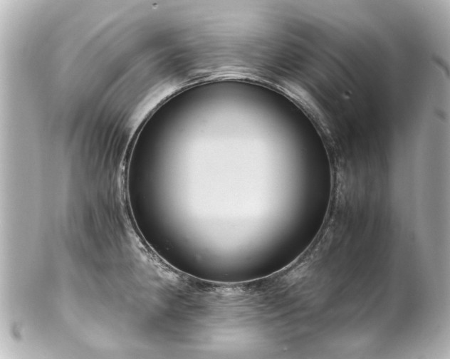 X0000100901190200807011213