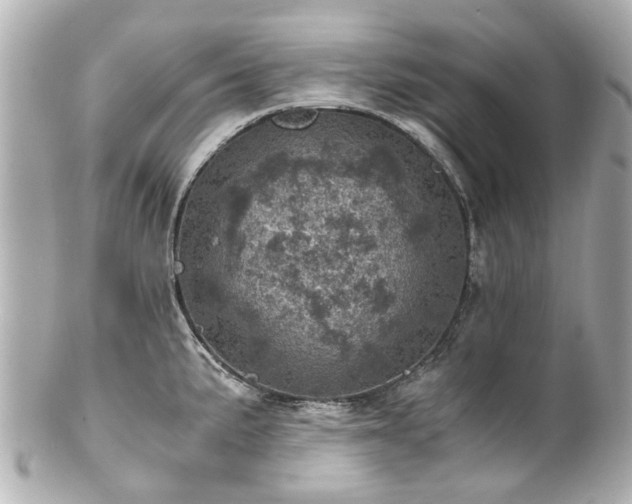 X0000100901191200807011213