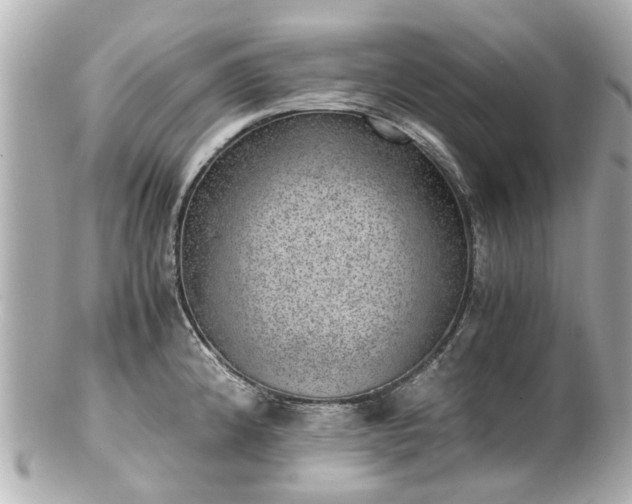 X0000100901192200807011213