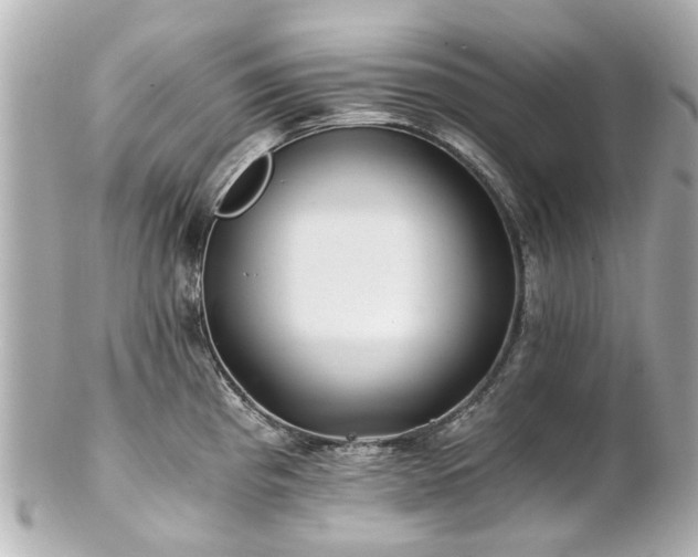 X0000100901193200807011213