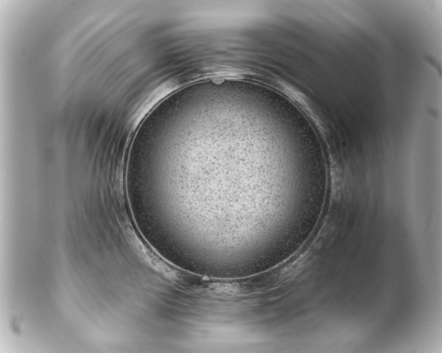 X0000100901194200807011213