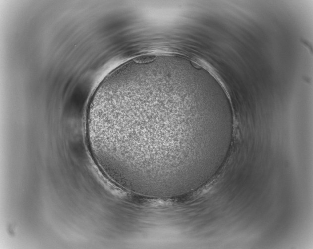 X0000100901195200807011213