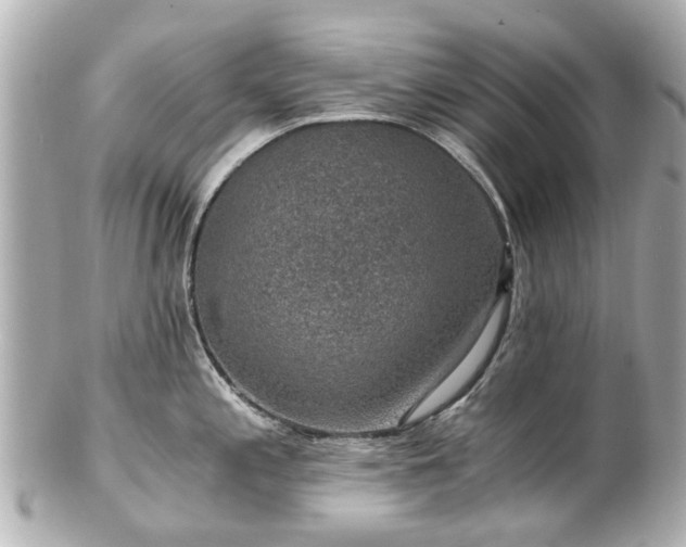 X0000100901197200807011213