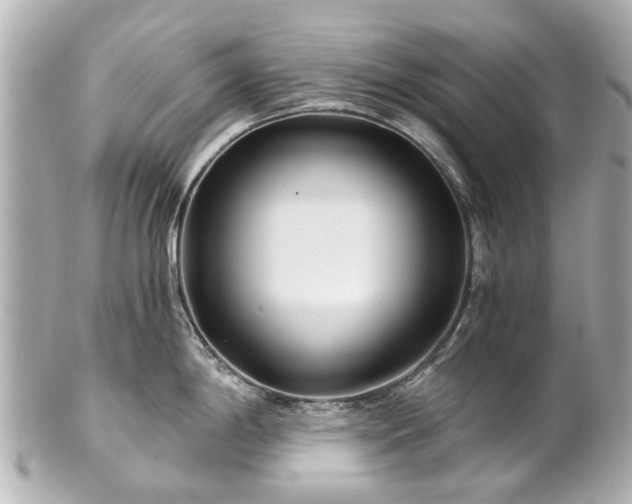 X0000100901198200807011213