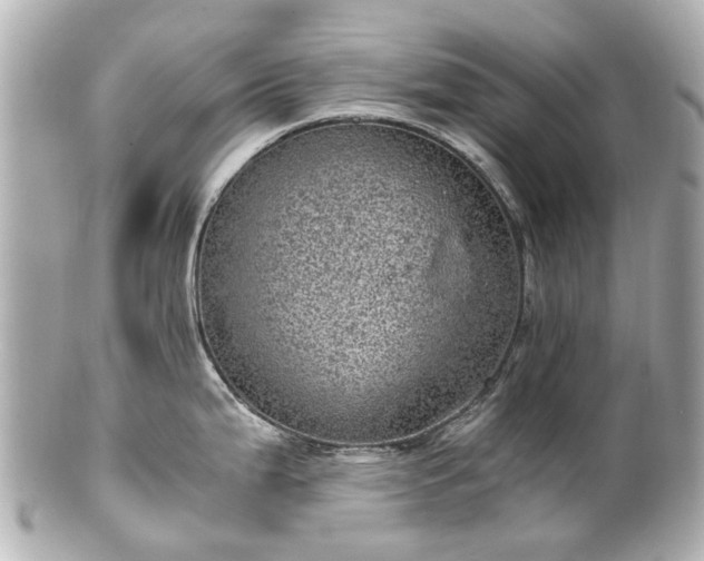 X0000100901199200807011213