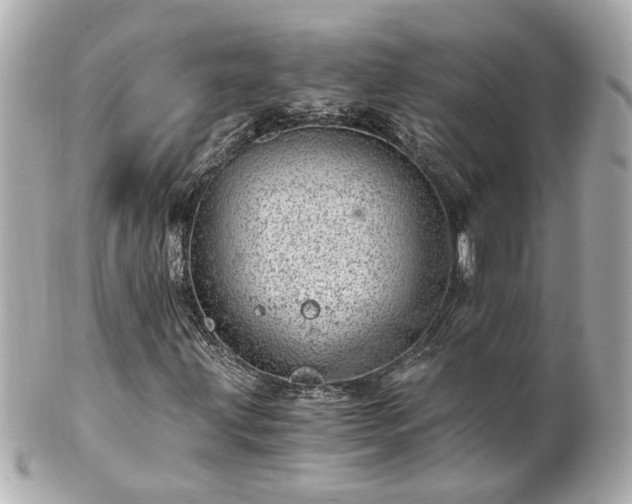 X0000100901203200807011212