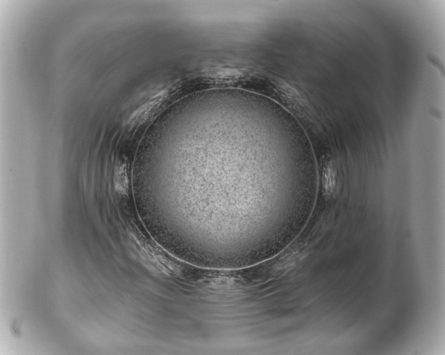 X0000100901204200807011212