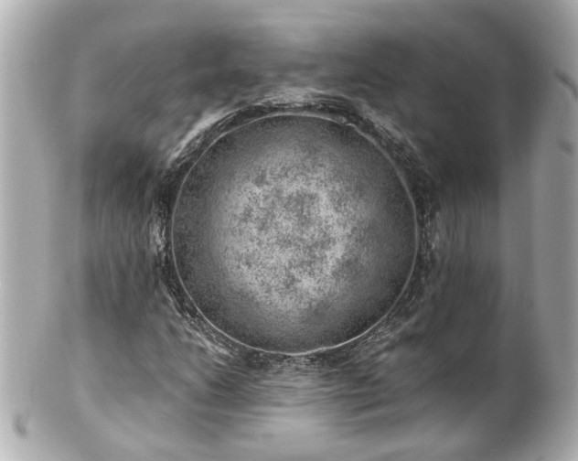 X0000100901206200807011212