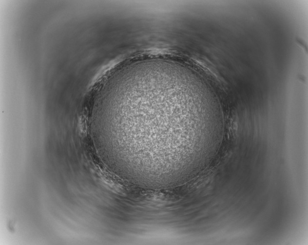 X0000100901207200807011212