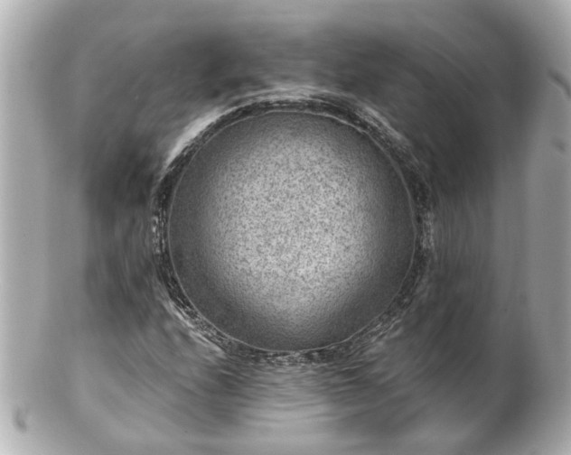 X0000100901208200807011212