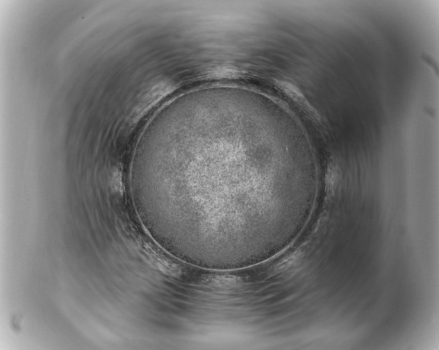 X0000100901209200807011212