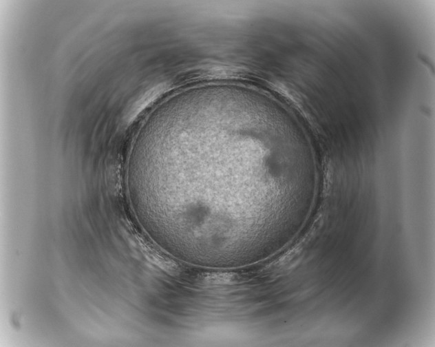 X0000100901211200807011212