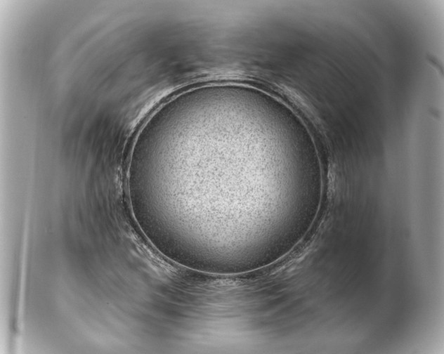 X0000100901212200807011212
