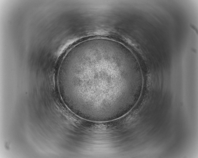 X0000100901214200807011212