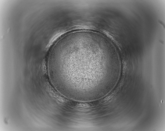 X0000100901215200807011212