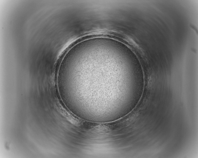 X0000100901216200807011212