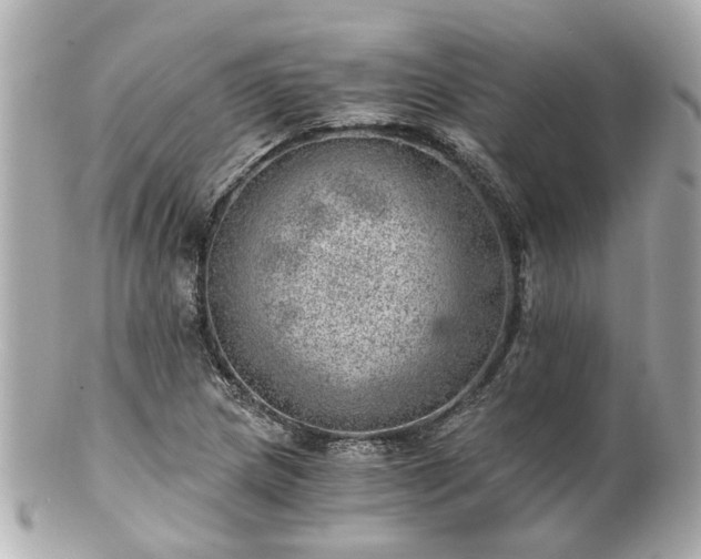 X0000100901217200807011212