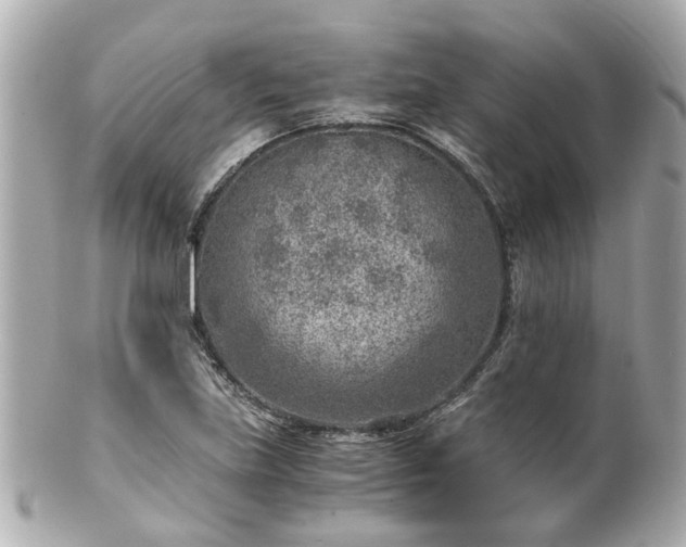 X0000100901219200807011212