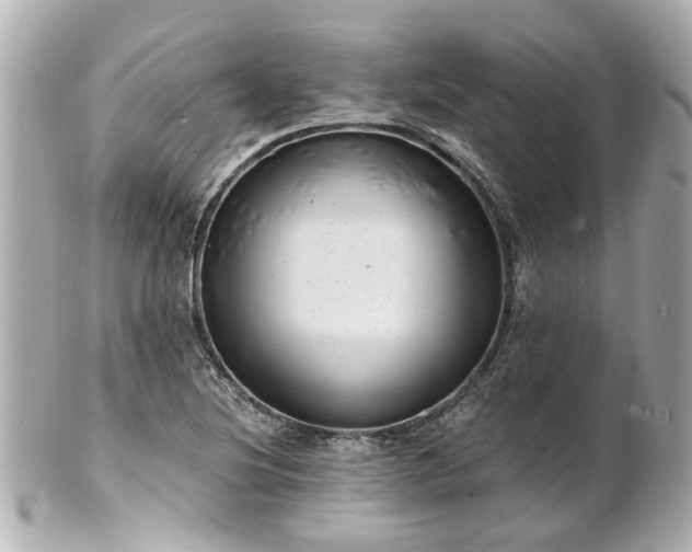 X0000100901220200807011212