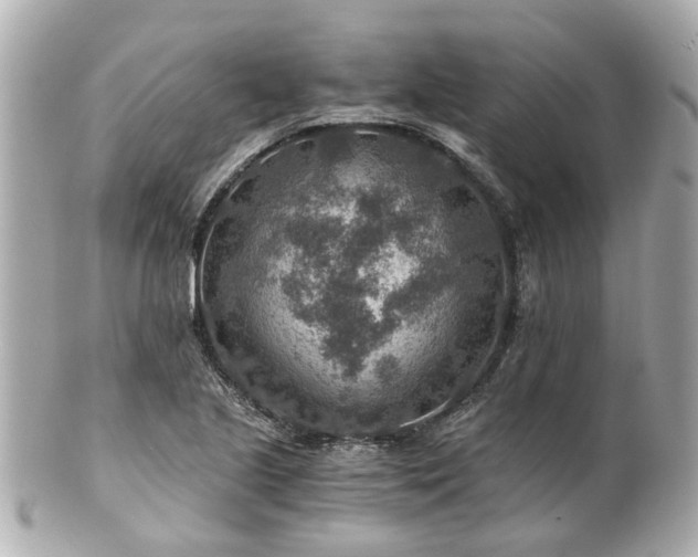X0000100901221200807011212