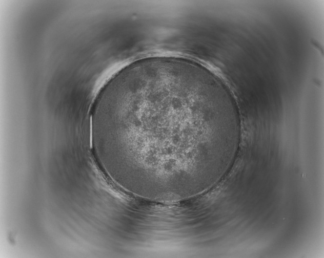 X0000100901223200807011212