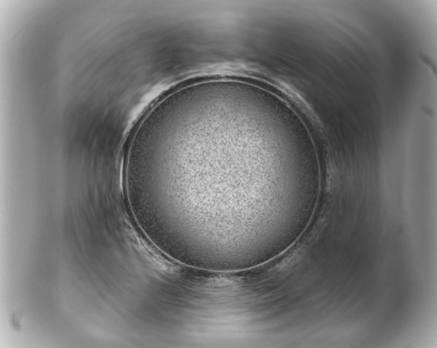 X0000100901224200807011212