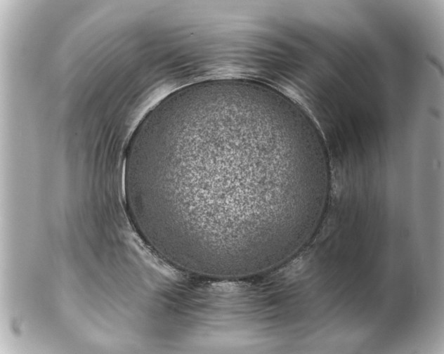 X0000100901227200807011212