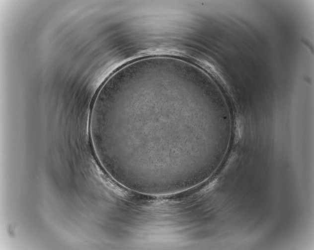 X0000100901228200807011212