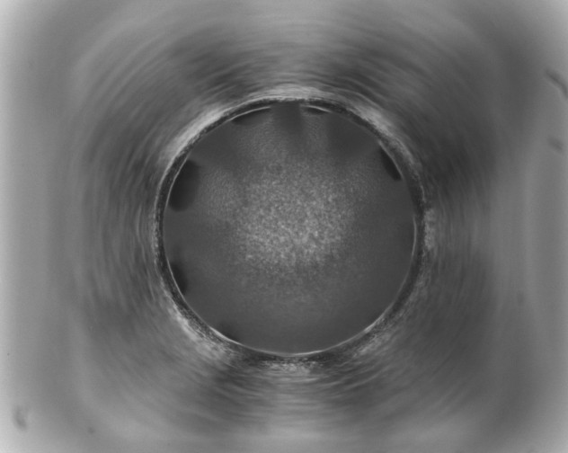 X0000100901229200807011212
