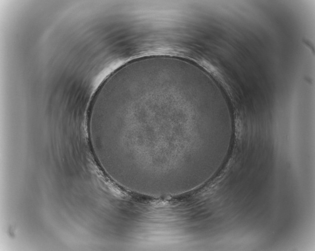 X0000100901230200807011213
