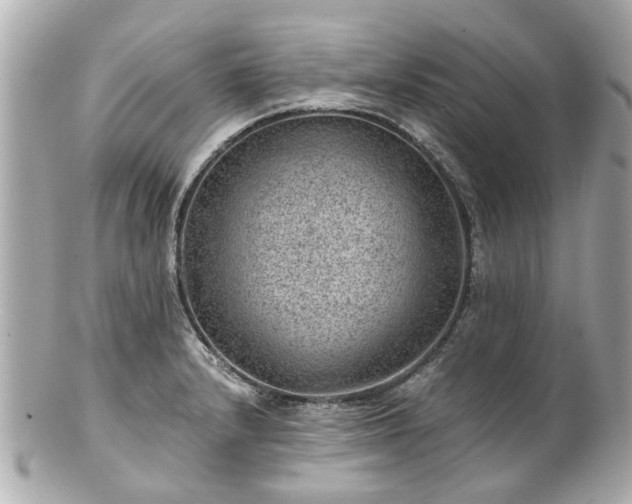 X0000100901232200807011213