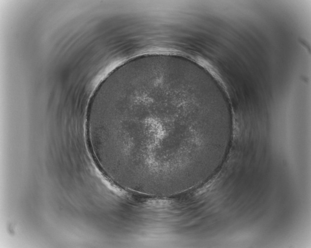 X0000100901237200807011213