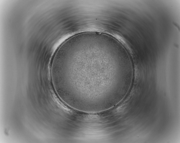 X0000100901238200807011213