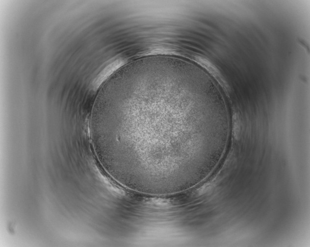 X0000100901241200807011213