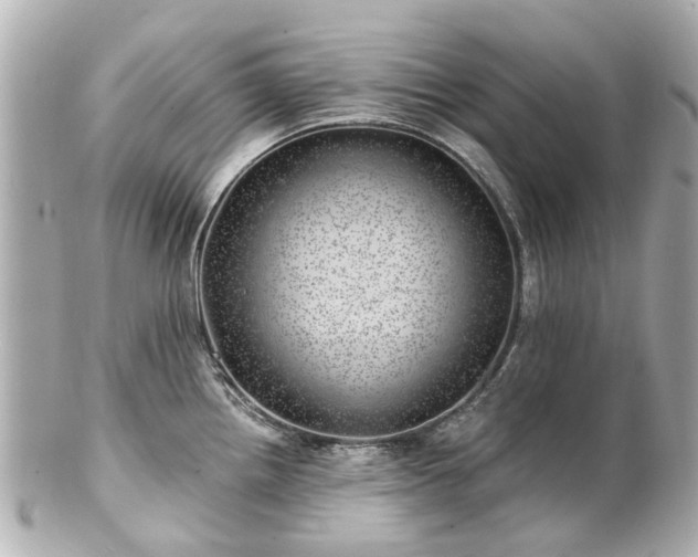 X0000100901242200807011213