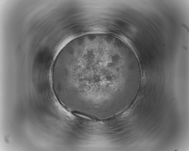 X0000100901243200807011213