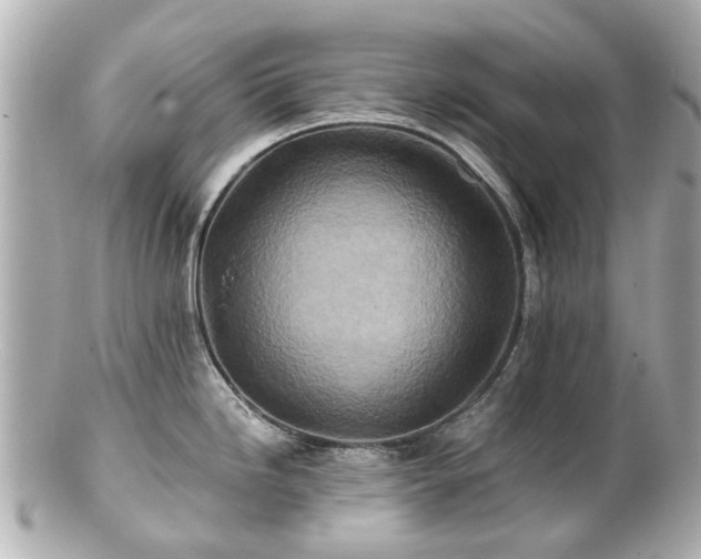 X0000100901246200807011213