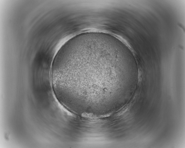 X0000100901247200807011213
