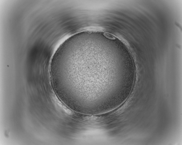 X0000100901248200807011213