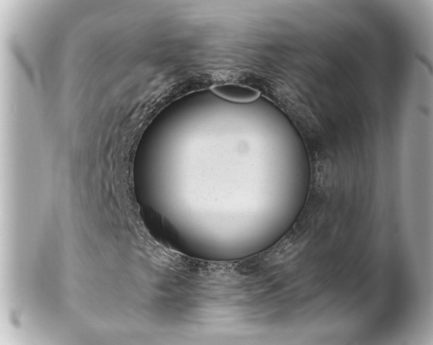 X0000100901249200807011212