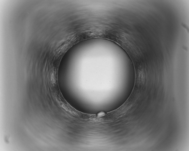 X0000100901250200807011212