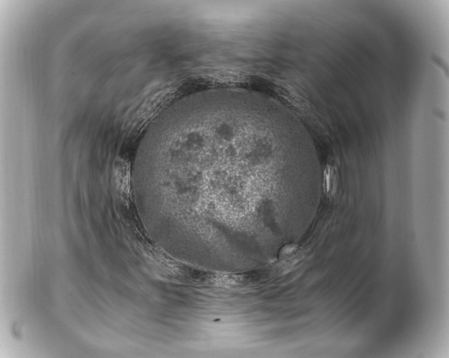 X0000100901251200807011212