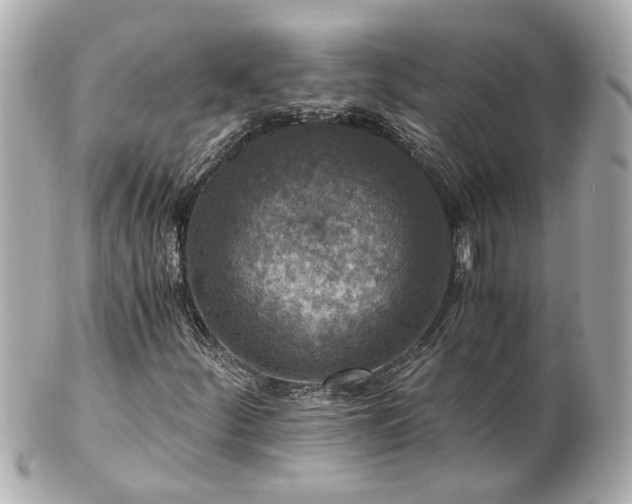 X0000100901252200807011212