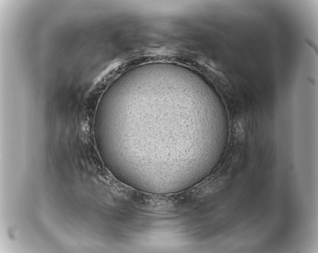 X0000100901254200807011212