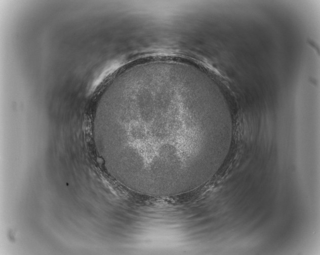 X0000100901255200807011212