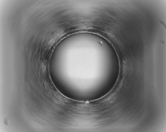 X0000100901257200807011212