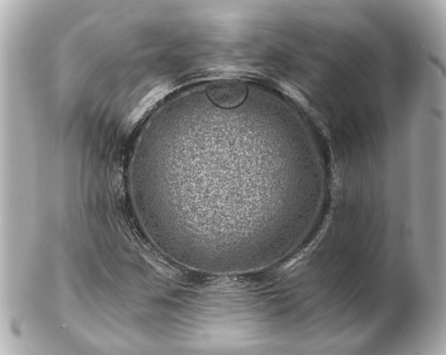 X0000100901259200807011212