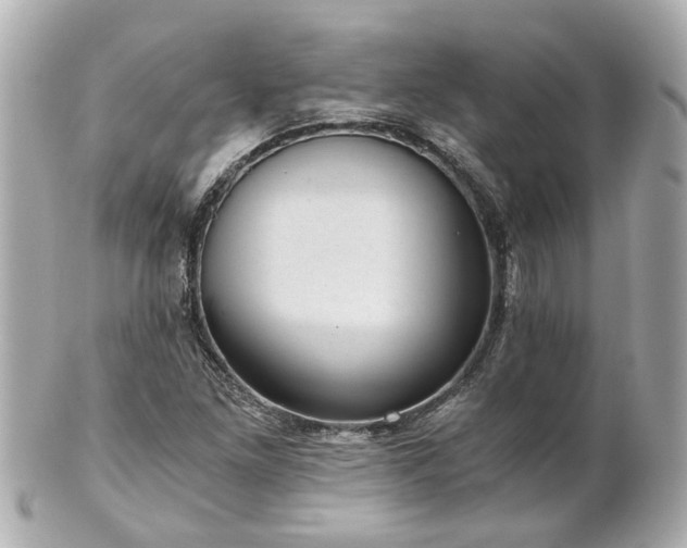 X0000100901261200807011212