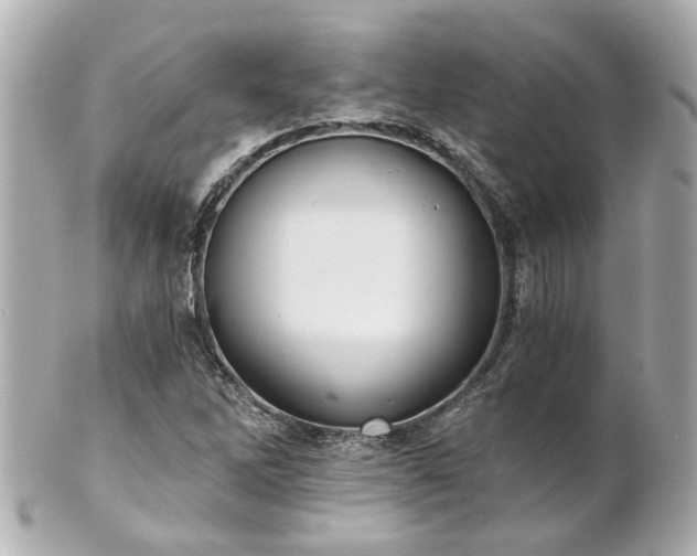 X0000100901262200807011212